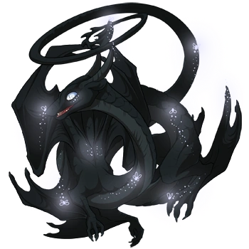 Orca Firefly on a female Spiral