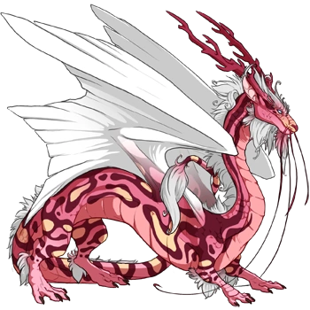 Cottoncandy Swirl on a male Imperial