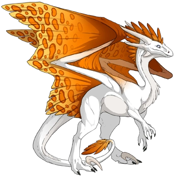 Saffron Clouded on a female Wildclaw