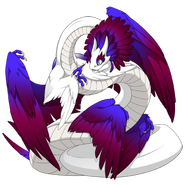 Raspberry Blend on a female Auraboa
