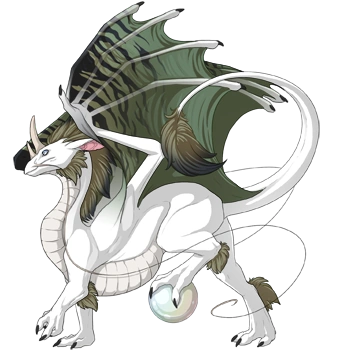 Swamp Safari on a male Pearlcatcher