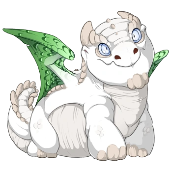 Fern Edged on a hatchling Snapper