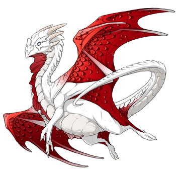 Ruby Edged on a male Nocturne