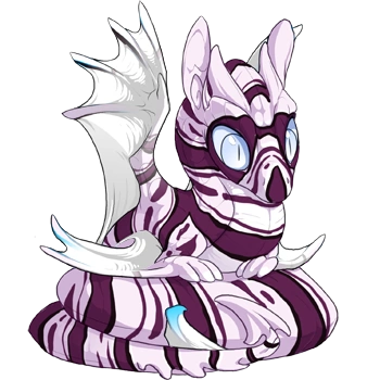 Pearl Lionfish on a hatchling Spiral