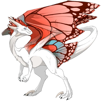 Tangerine Butterfly on a male Wildclaw