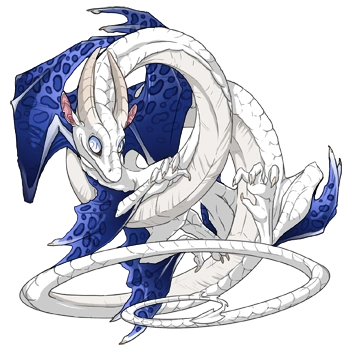 Blue Clouded on a male Spiral