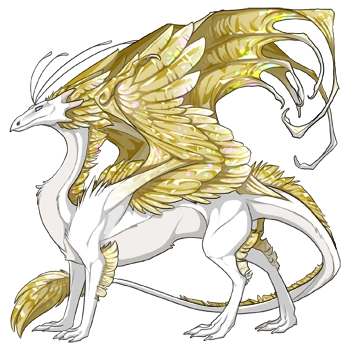 Maize Facet on a male Skydancer