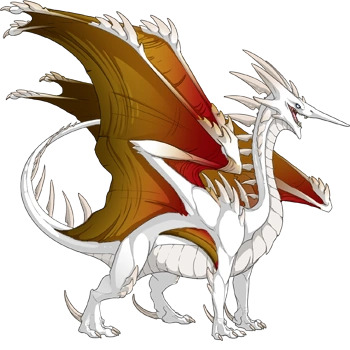 Amber Blend on a male Ridgeback