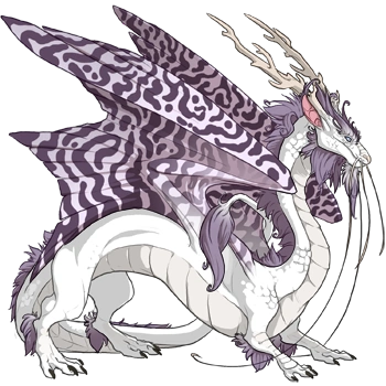 Platinum Hypnotic on a male Imperial