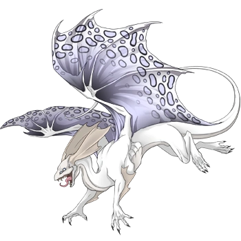 Orca Clouded on a female Mirror