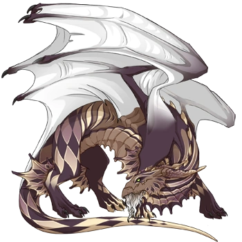 Latte Harlequin on a male Guardian