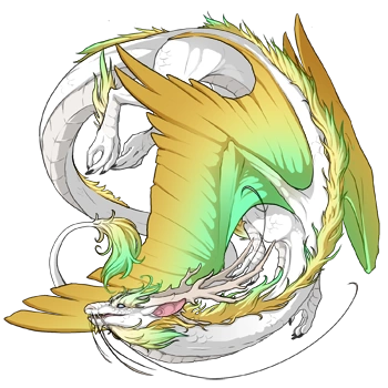 Banana Blend on a female Imperial