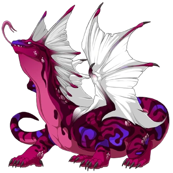 Raspberry Swirl on a male Bogsneak