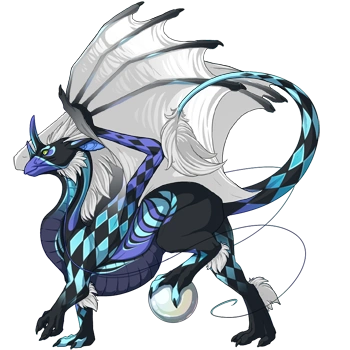 Storm Harlequin on a male Pearlcatcher