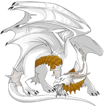 Amber Underbelly on a male Guardian