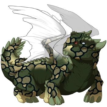 Forest Mosaic on a female Snapper