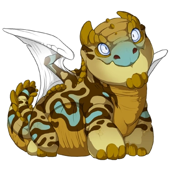 Goldenrod Swirl on a hatchling Snapper