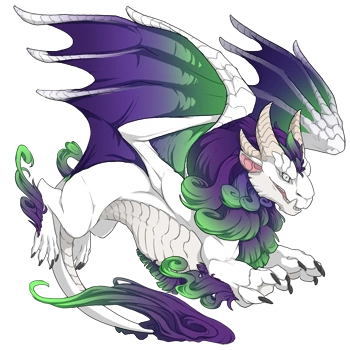 Violet Blend on a male Obelisk