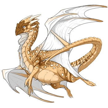 Ivory Clown on a male Nocturne