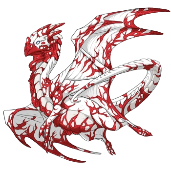 Red Crackle on a male Nocturne