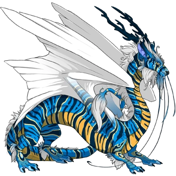 Caribbean Lionfish on a male Imperial