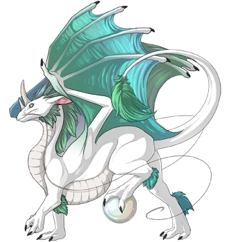 Aqua Shimmer on a male Pearlcatcher