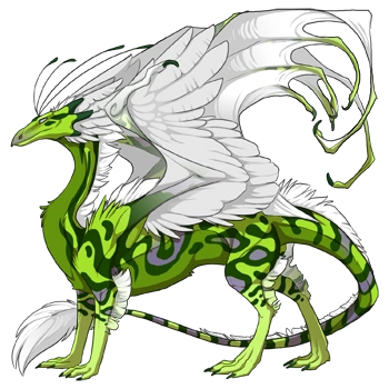 Leaf Swirl on a male Skydancer