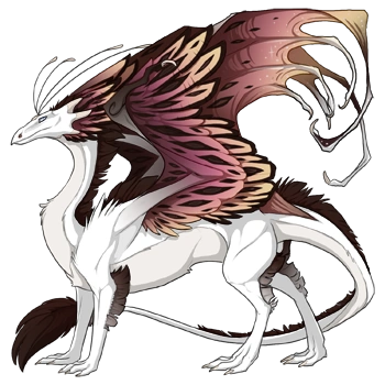 Sable Flair on a male Skydancer