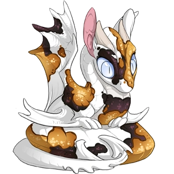 Gold Koi on a hatchling Spiral