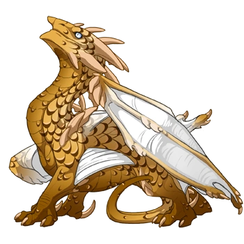 Gold Laced on a hatchling Ridgeback