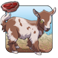 Micro Goat