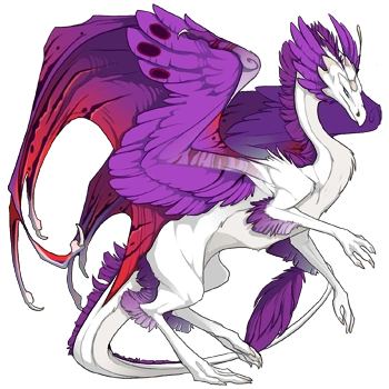 Plum Noxtide on a female Skydancer