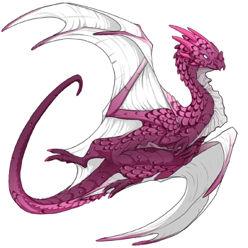 Mauve Laced on a female Nocturne