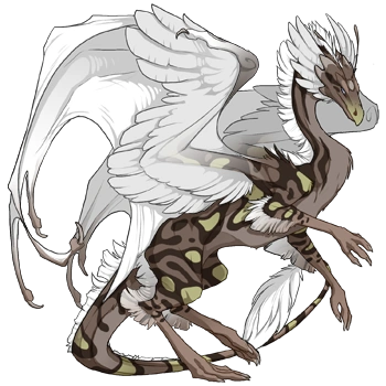 Driftwood Swirl on a female Skydancer