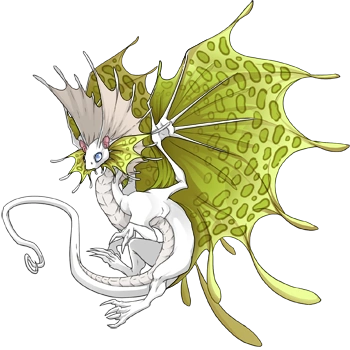 Chartreuse Clouded on a male Fae