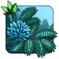 Indigo Mimosa - Coast Charger