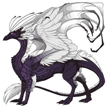 Ripple on a male Skydancer