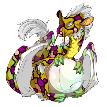 Honey Mosaic on a hatchling Pearlcatcher