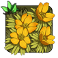 Sanddrift Aconite - Sanddrift Fuiran