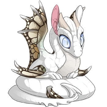 Beige Butterfly on a hatchling Spiral