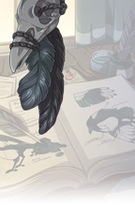 Avian Anatomy