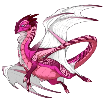 Magenta Cherub on a male Nocturne