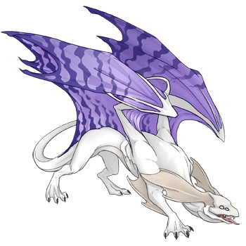 Mist Peregrine on a male Mirror