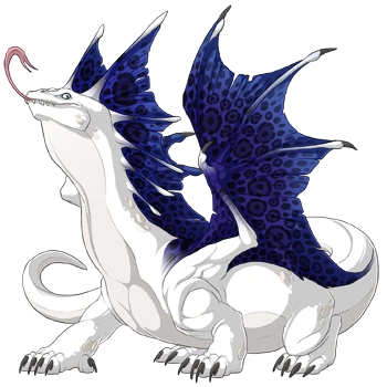 Indigo Rosette on a male Bogsneak