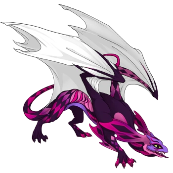 Fuchsia Harlequin on a male Mirror