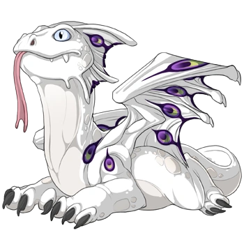 Purple Peacock on a hatchling Bogsneak