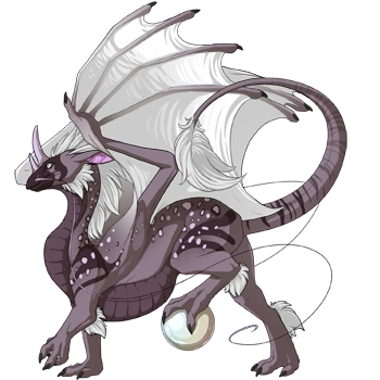 Thistle Clown on a male Pearlcatcher