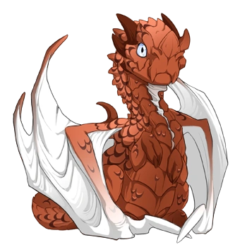 Cinnamon Laced on a hatchling Nocturne