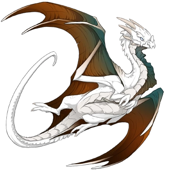 Bronze Blend on a female Nocturne