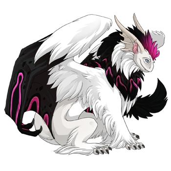 Magenta Sarcophagus on a male Tundra